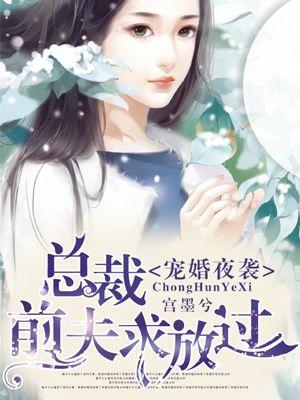 总裁霸宠前妻