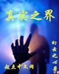 真实之虚 第一季