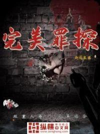 完美罪行