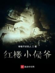 红楼之小爷是