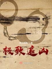 M号档案