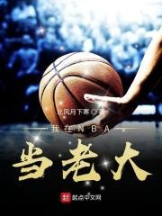 我在nba当大佬顶点