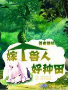 穿越兽世找个兽人老公