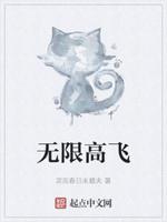 无限飞行正版官方