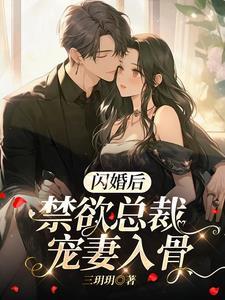 闪婚总裁系列