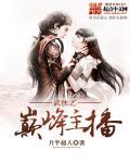 新书武侠巅峰之上