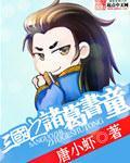 三国之诸葛传人