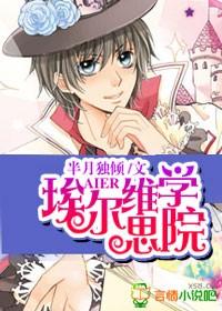 埃尔维斯国际软装