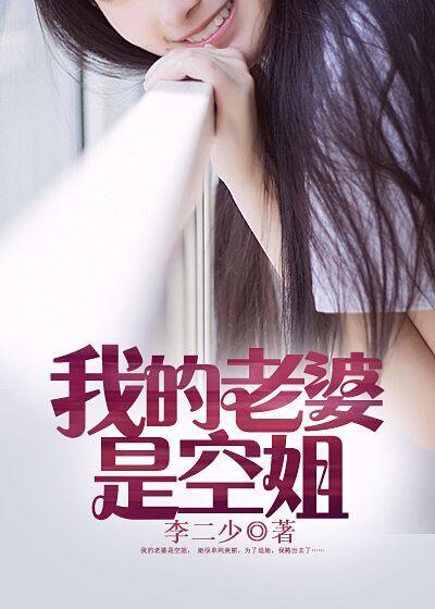 我的老婆是空姐王昆