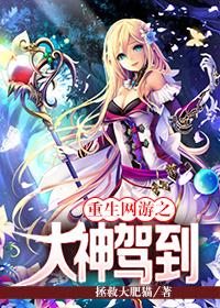 网游之大神扛回家全文