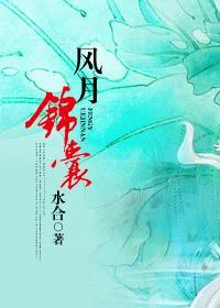 风月锦囊番外篇全文免费阅读
