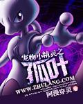宠物小精灵之孤叶zombie