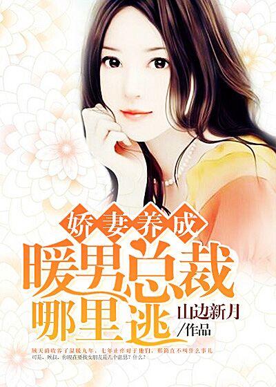 暖男老公总裁妻
