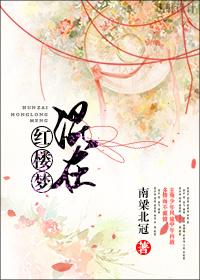 混在红楼梦txt