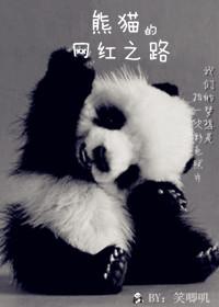 成都网红熊猫名字