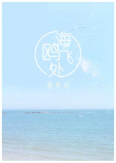 海鸥飞处原唱
