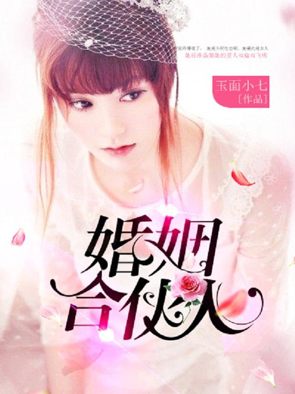 婚姻合伙人 结局