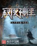 寂夜星灵资质