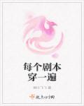 每个剧本穿一遍TXT全集