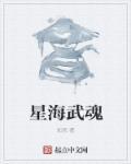 星海玄魂天空套特效图
