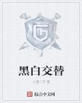 黑白交错意思