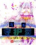 次元的守护者