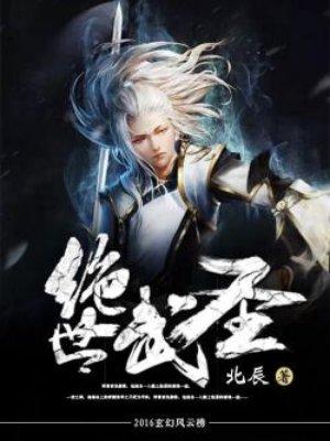 绝世武圣状元郎