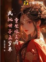 重生嫁给王爷为侧妃的古言