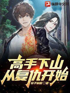 免费阅读下山高手在都市全文