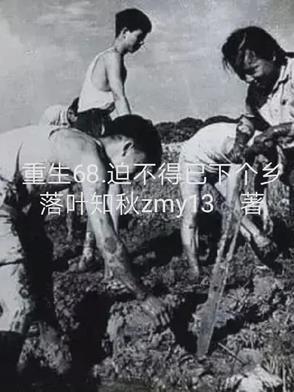 重生68迫不得已下个乡全文免费阅读最