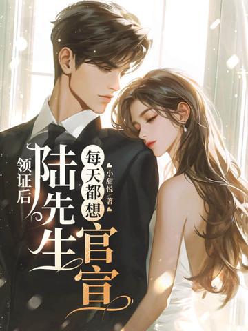 结婚后陆先生天天