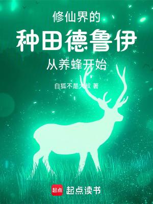 德鲁伊来咯