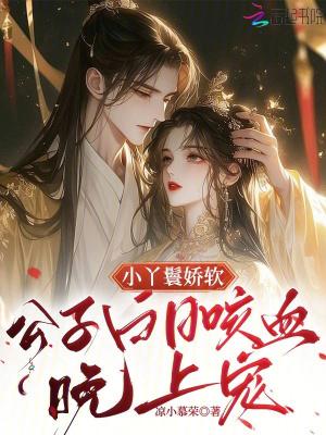 丫鬟公子宠文完结