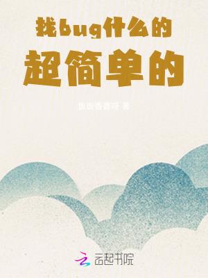 找bug是什么意思