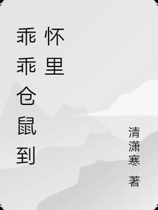 仓鼠在这里