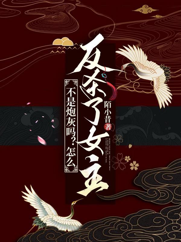 我不是炮灰