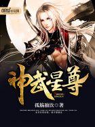 神武新版星穹怎么升级