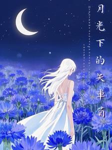 月光下踟蹰