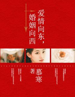 爱情向东婚姻向西免费阅