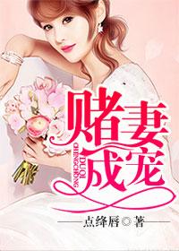 赌婚免费阅读