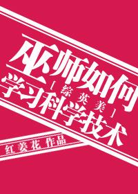 巫师学派介绍