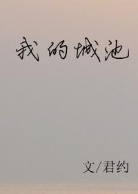 我的城池营垒电视剧剧情介绍