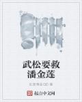 武松杀潘金莲哪集