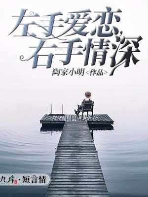 左手情右手爱