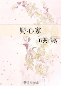 野心家的英文
