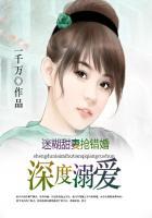深度迷恋txt趣书