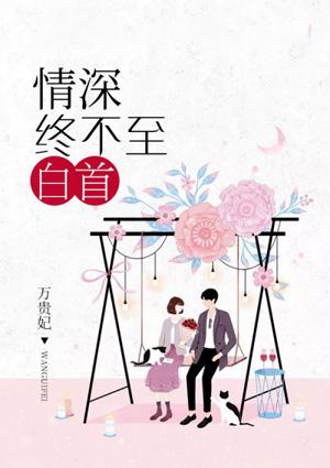 情深不及白首免费阅读