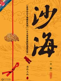 沙海沙海