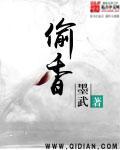 偷香窃玉阅读免费