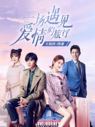一场遇见爱情的旅行内容介绍